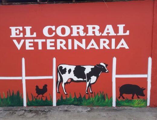 Veterinaria El Corral 