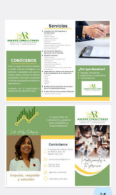 Arerod Consultores