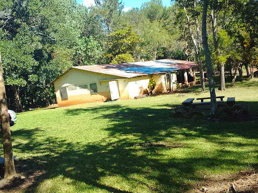 CAMPAMENTO LOS PINOS