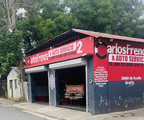 Carlos Frenos y Autoservicio 2