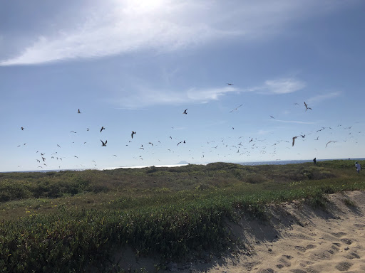 Cayo Ratas