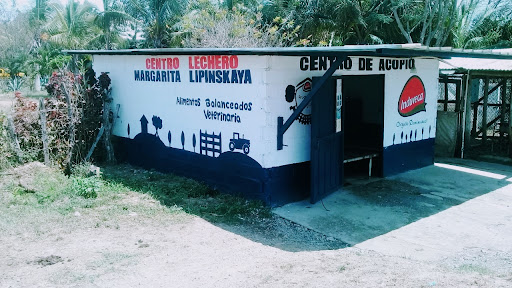Centro de Acopio de Leche CÓMODO (Margarita Lipinskaya)