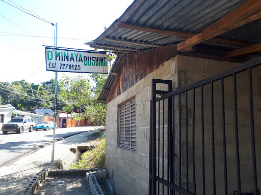 D’ Minaya Bushing