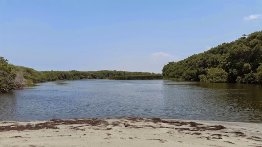 Desembocadura Del Rio Yaque Del Norte