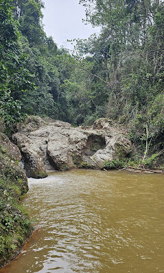 El Naranjito