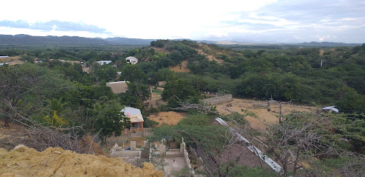 Factoria de Arroz Doña Ana