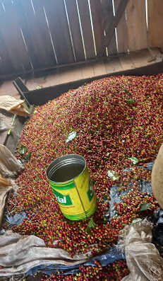 Finca Santiago Tejada