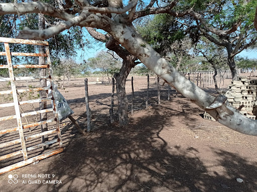 Finca Tatis De La Cruz