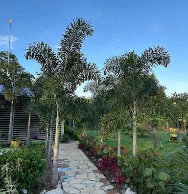 Hacienda La Golondrina