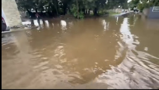 Lago Marrón