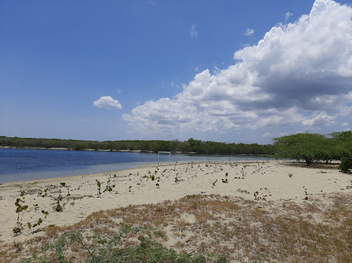 Manglares de Manzanillo