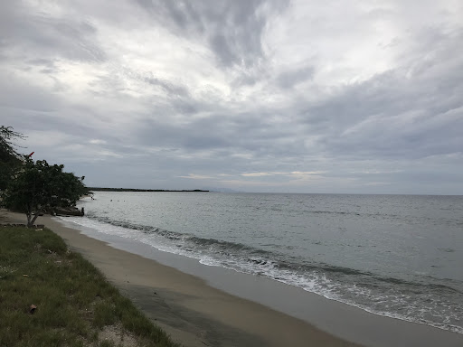 Muelle
