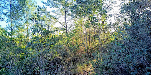 Panoramablick / Vista Panorámica