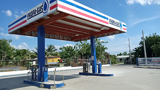 Planta de Gas