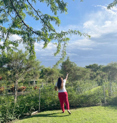Play de Beisbol Las Canas