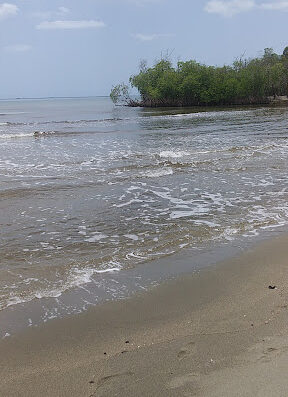 Playa Boca de Tapión