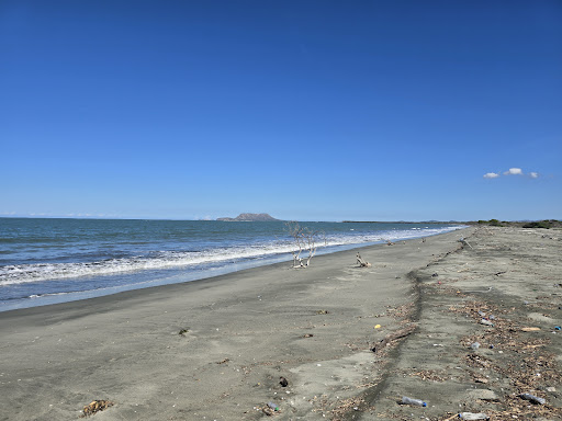 Playa Punta Presidente