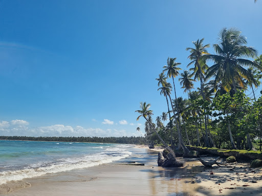 Playa de los Cocos