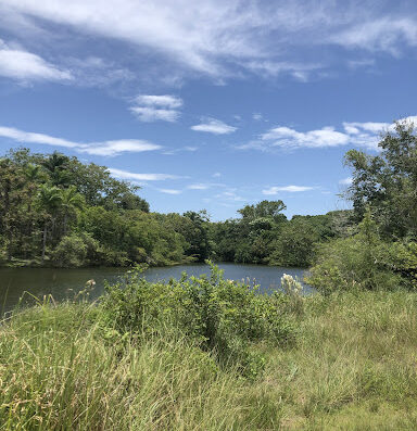 Presa Cabeza de Caballo