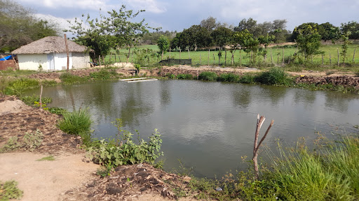 Punta Lago Club Camp