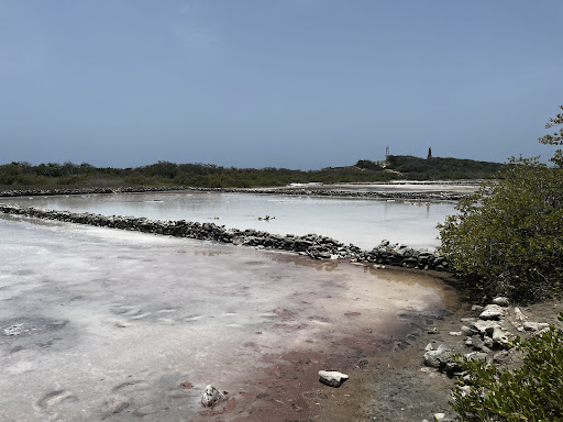 Salinas de Isla Cabra
