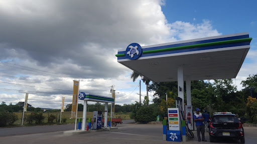 Shell en Loma de Cabrera 63000 y Gasolinera