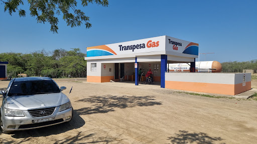 Traspesa Planta de Gas GLP en Dominican Republic y Gasolinera